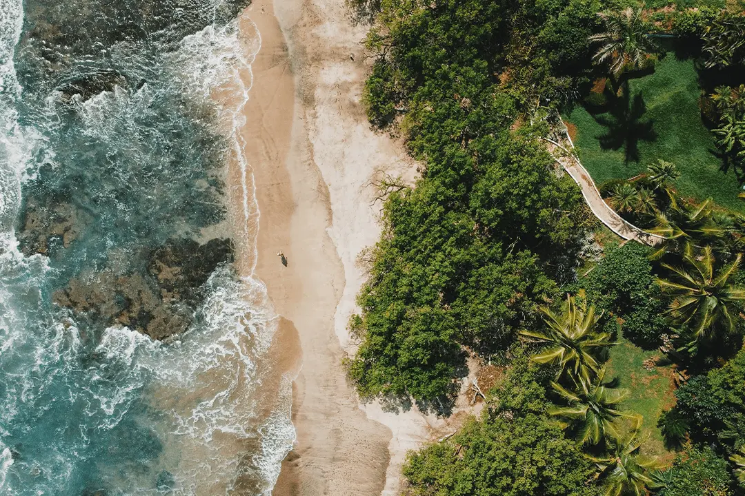 Beach View