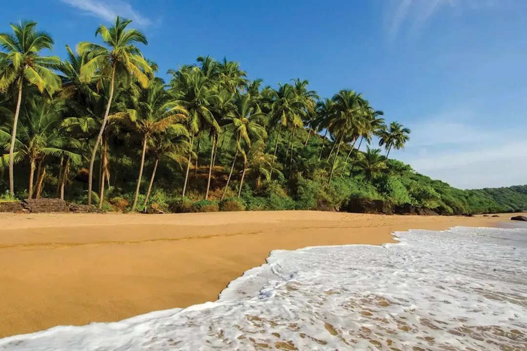 Beach View