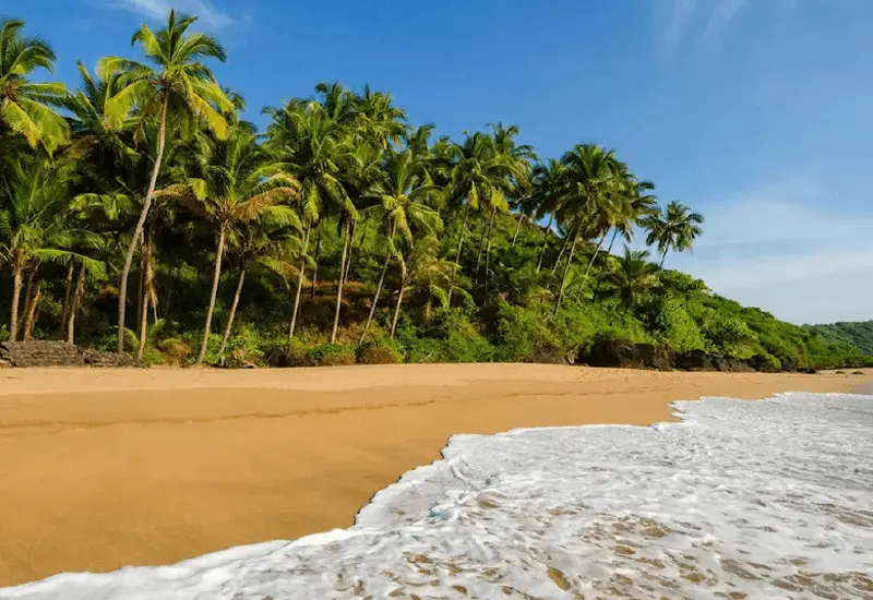 Beach View