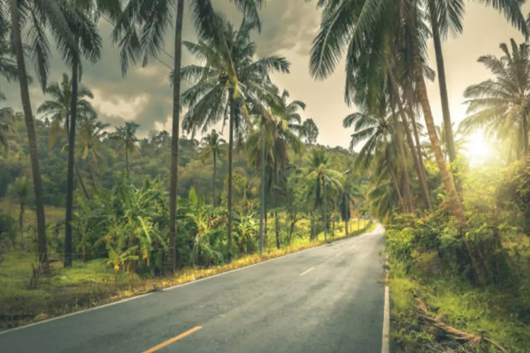 Road View By hills