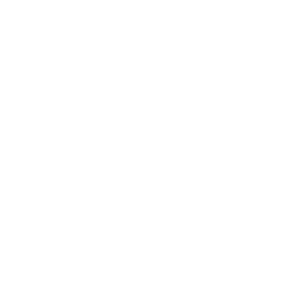 Anasa Logo