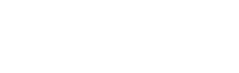 Anasa's Logo